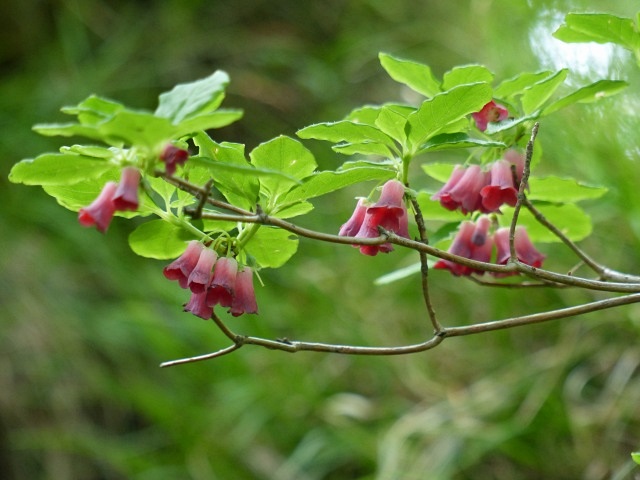 f0357487_22441846.jpg