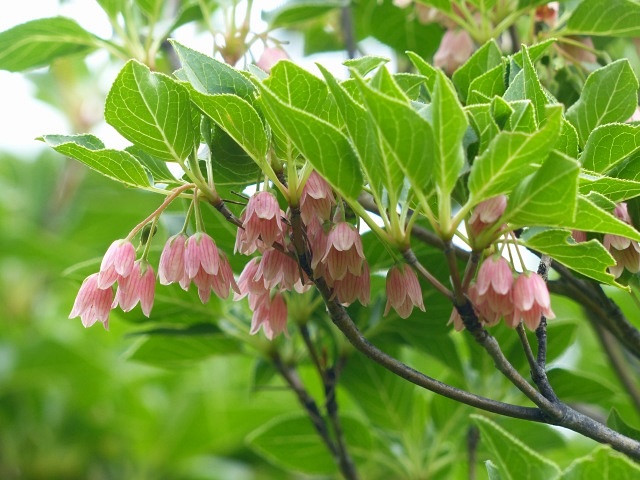 f0357487_22484030.jpg