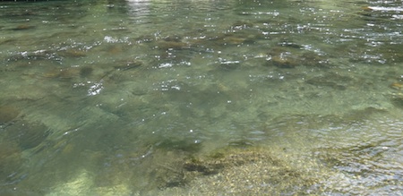 c0146788_1046191.jpg