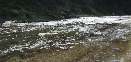 c0146788_1118345.jpg
