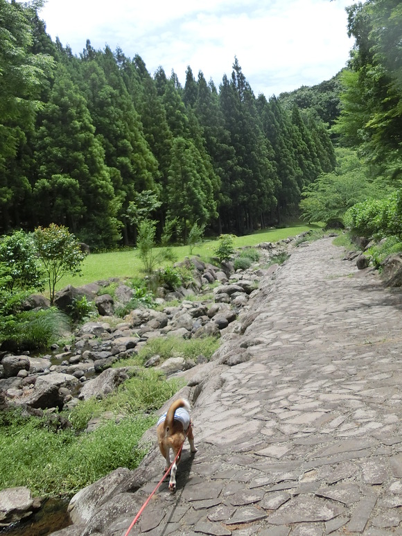 a0319693_8204127.jpg