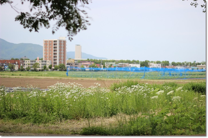 f0146493_23123195.jpg