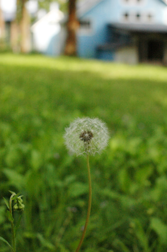 a0061599_7312429.jpg