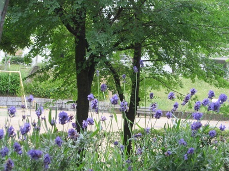 c0152002_19331449.jpg