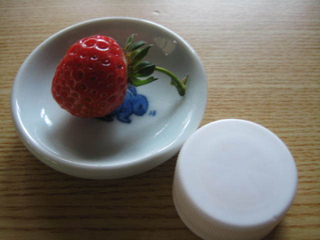 f0316507_11225554.jpg