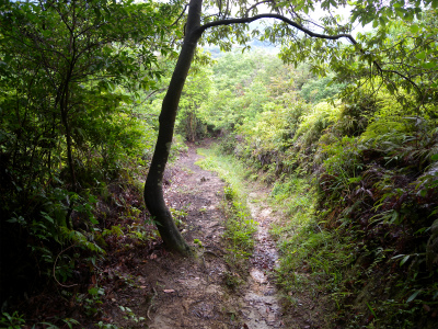 e0272335_1927486.jpg