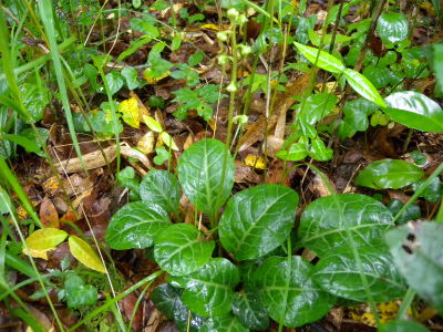 e0272335_20104445.jpg