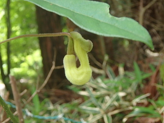 f0334143_8234533.jpg