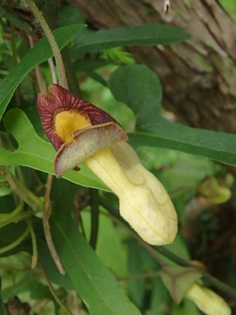 f0334143_8235215.jpg