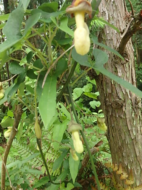 f0334143_8235830.jpg