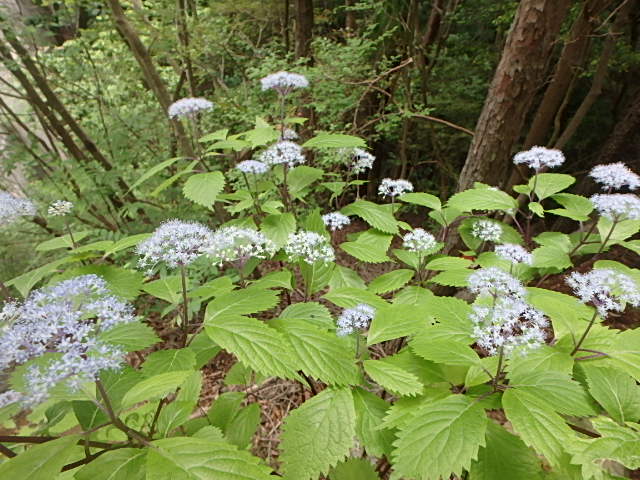 f0334143_8243475.jpg