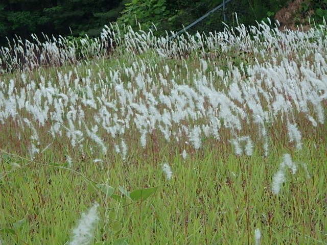 f0334143_826207.jpg