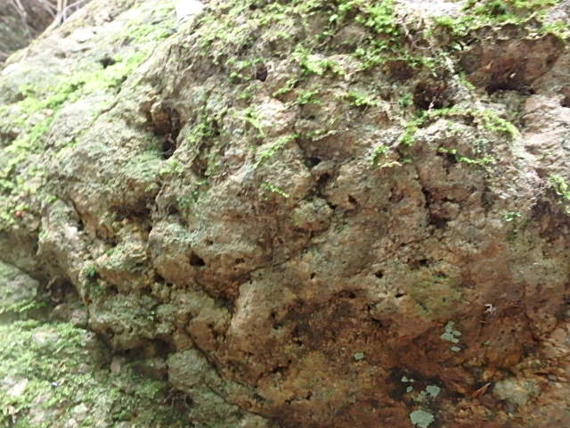 f0334143_8281159.jpg