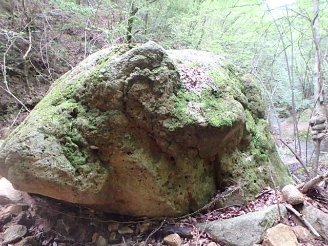 f0334143_828183.jpg
