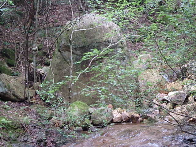 f0334143_8281952.jpg