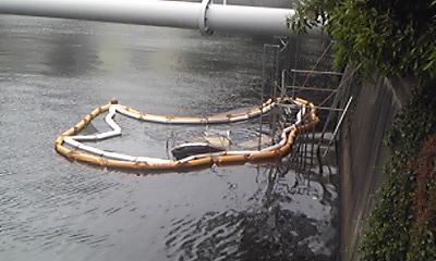 c0027849_21192367.jpg