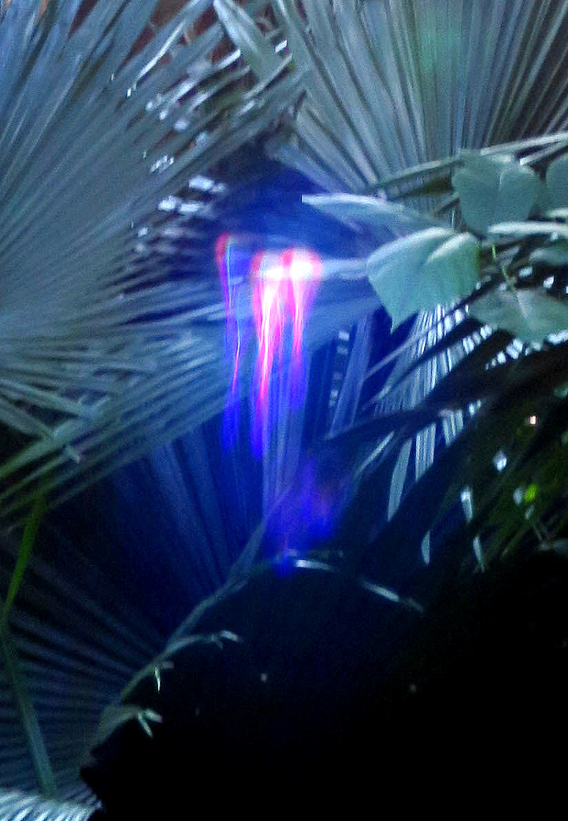 f0351853_15361345.jpg