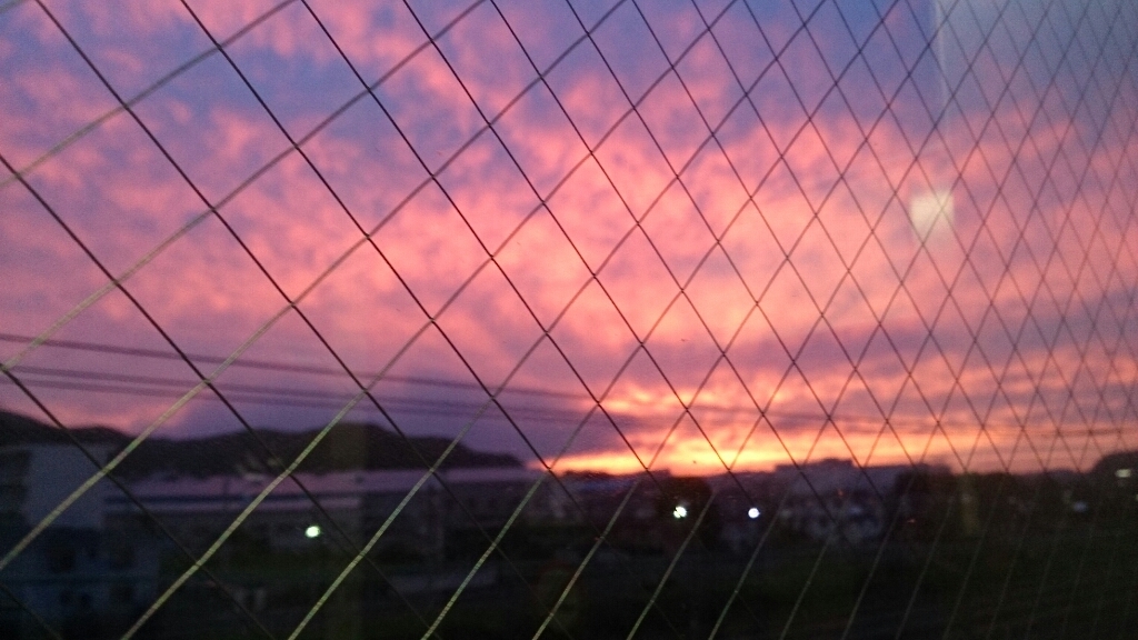 b0178557_22145783.jpg