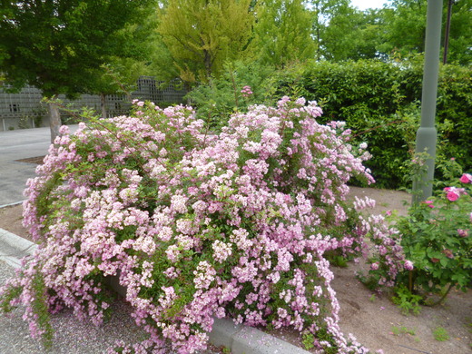 d0231858_6135178.jpg