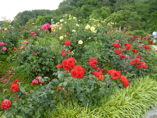 d0231858_6175960.jpg