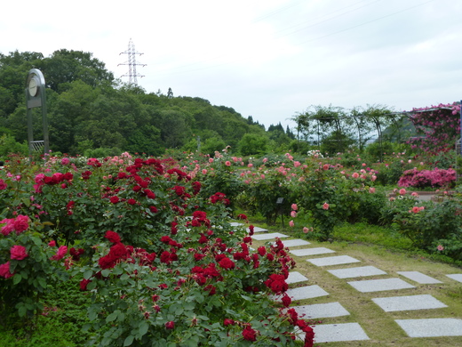 d0231858_6182196.jpg