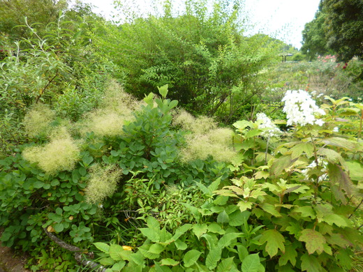 d0231858_6245881.jpg