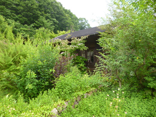 d0231858_624883.jpg