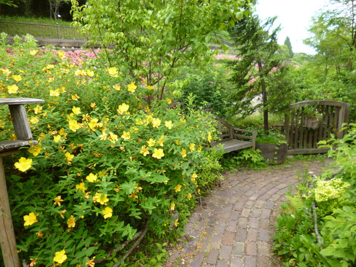 d0231858_6253221.jpg