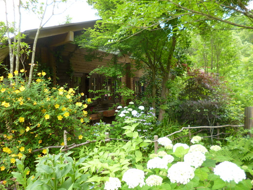 d0231858_6255489.jpg