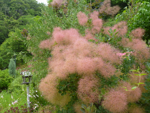 d0231858_6274043.jpg