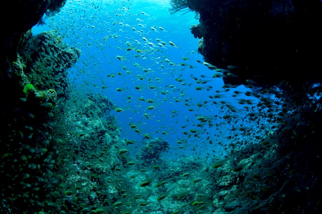 b0062363_17213310.jpg