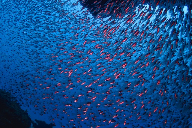 b0062363_7181580.jpg