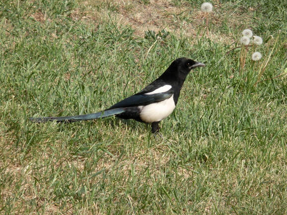 b0244372_20504677.jpg