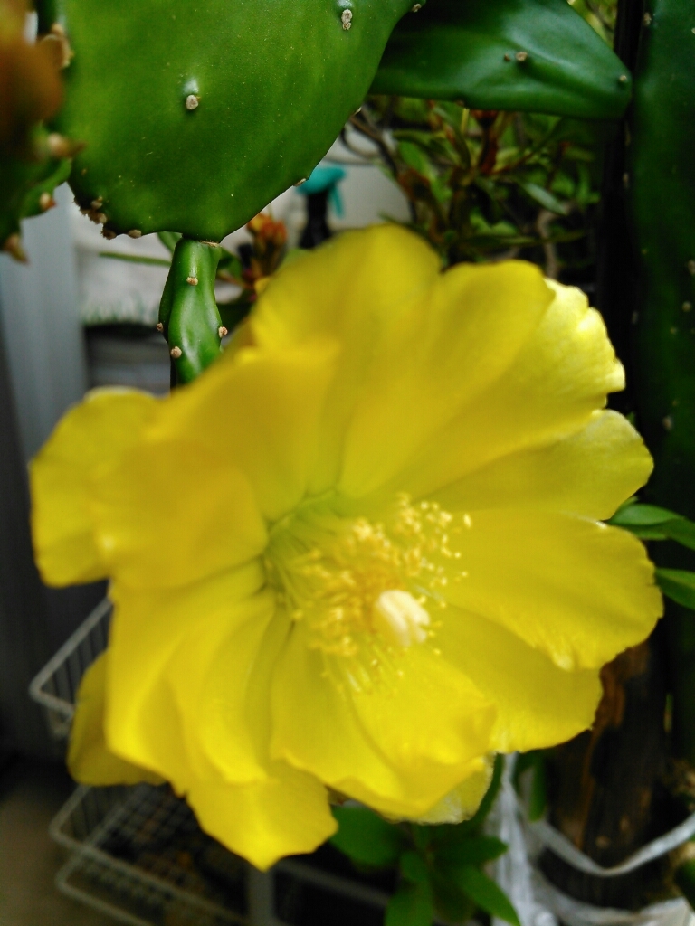 c0162773_06564767.jpg