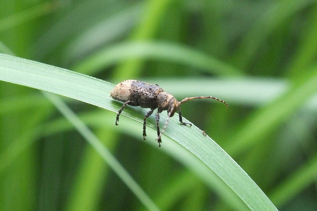 e0339873_18161770.jpg