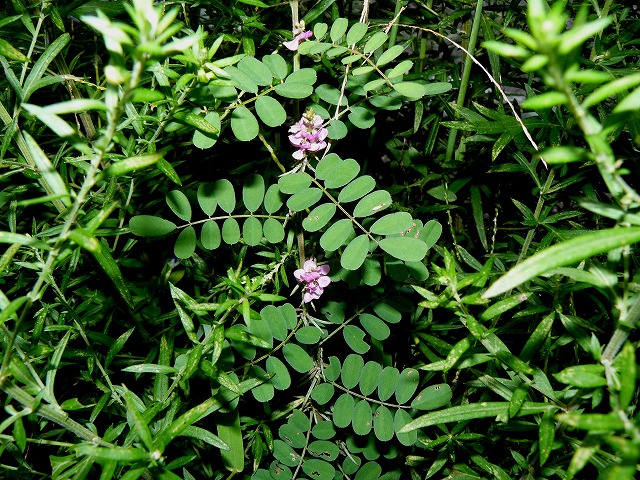 d0019074_16322089.jpg