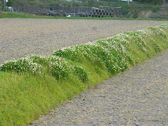 b0057675_11545920.jpg