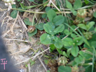 b0057675_12312110.jpg