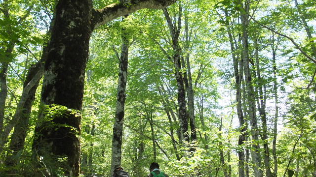 c0022275_1332744.jpg