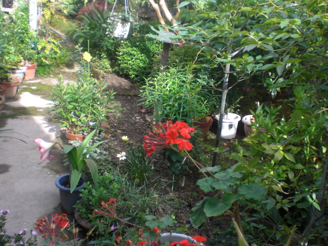 f0153475_16352012.jpg