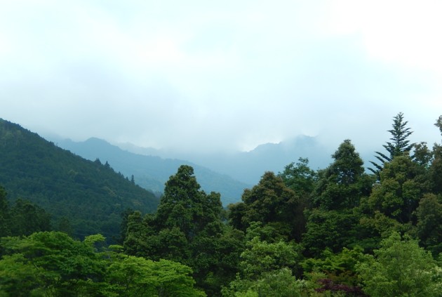 c0144185_135515100.jpg