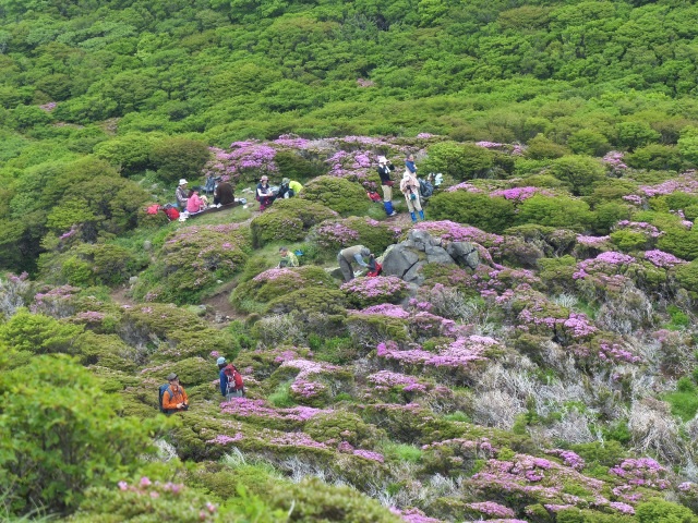 f0357487_10232819.jpg