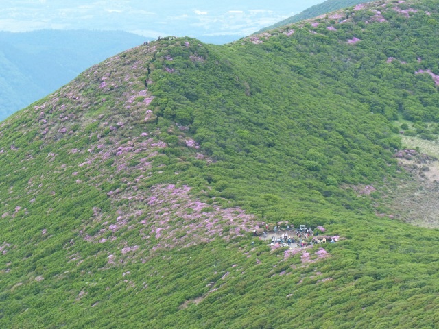 f0357487_1093240.jpg