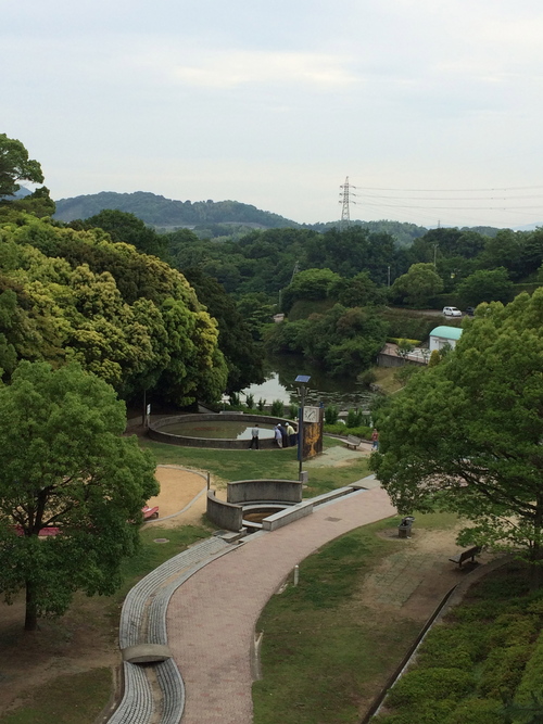 a0326292_837866.jpg