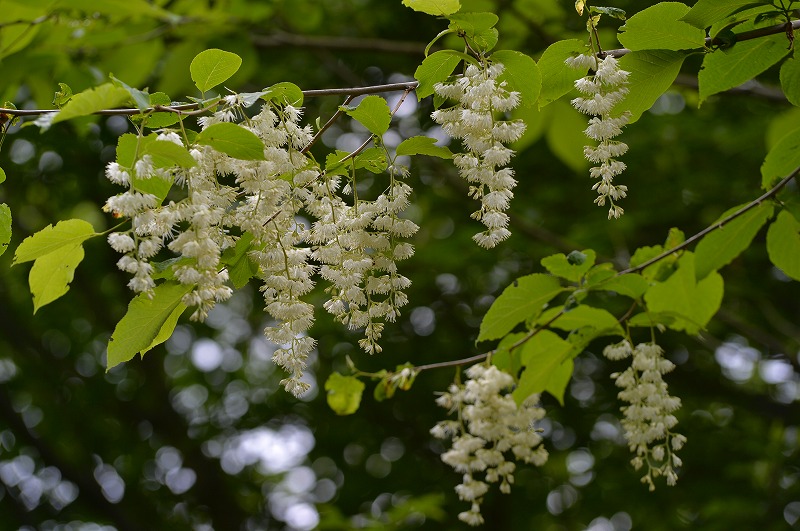 b0255992_2046125.jpg
