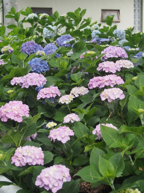 c0220700_14082146.jpg