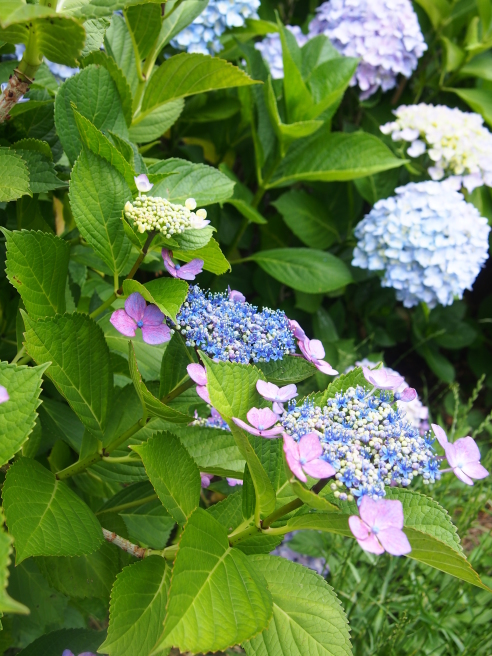 c0220700_14104687.jpg