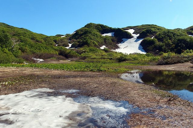 e0137200_21562497.jpg