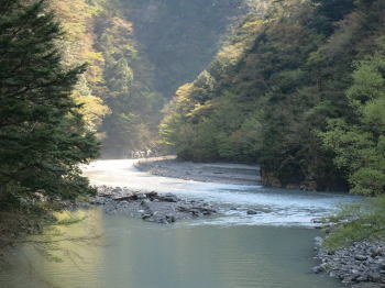 d0027711_1344445.jpg