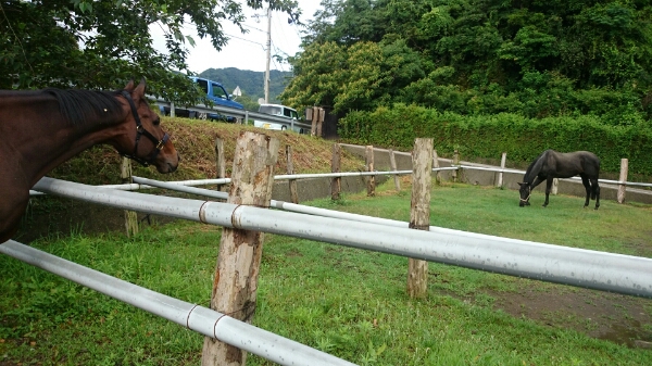 b0187620_20531971.jpg